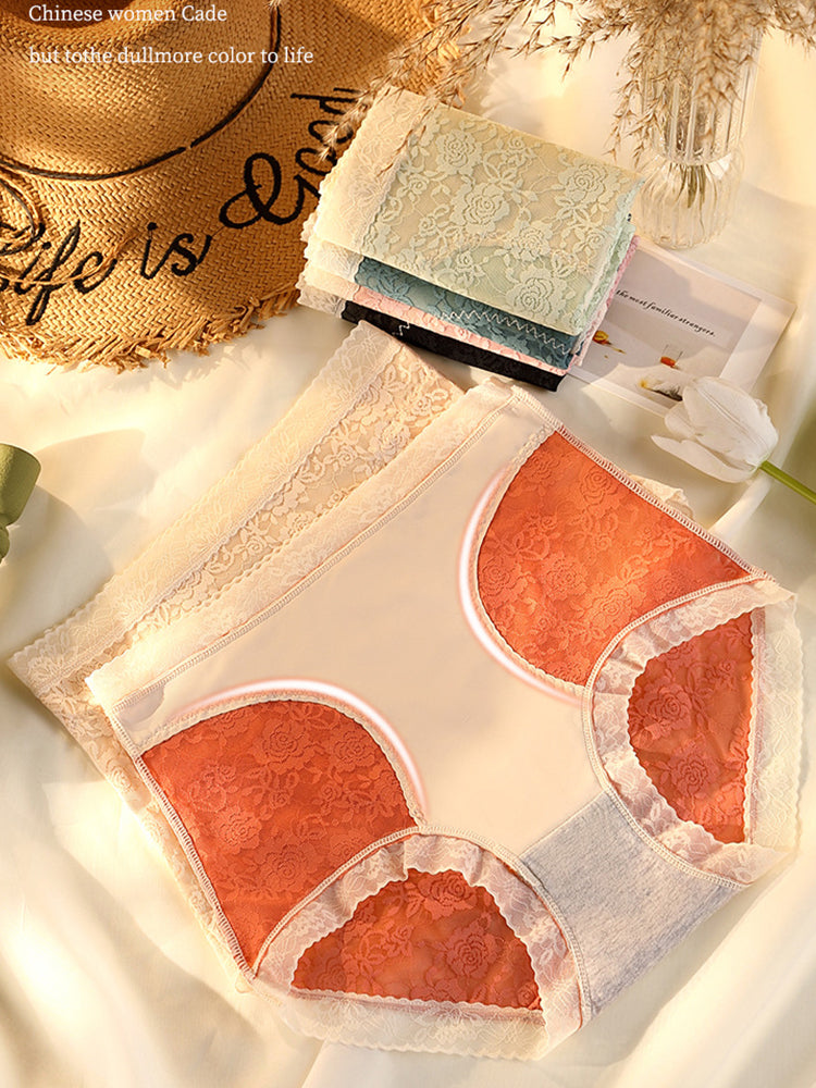 4-Pack Womens Sexy High Waisted Lace Brief