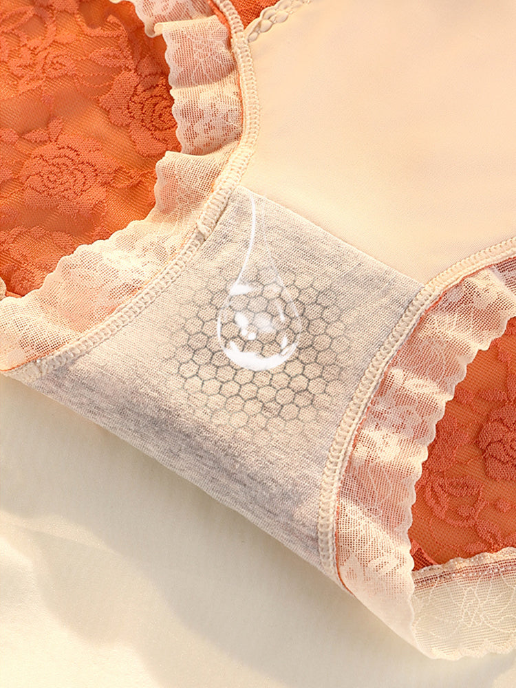 4-Pack Womens Sexy High Waisted Lace Brief