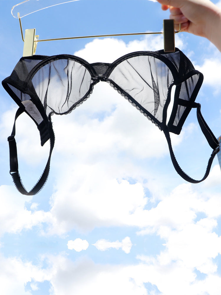 Women's Sexy Sheer Mesh Lingerie Bra and Thong Panty Set