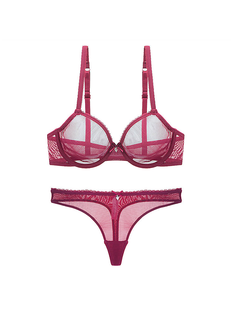 Women's Sexy Sheer Mesh Lingerie Bra and Thong Panty Set