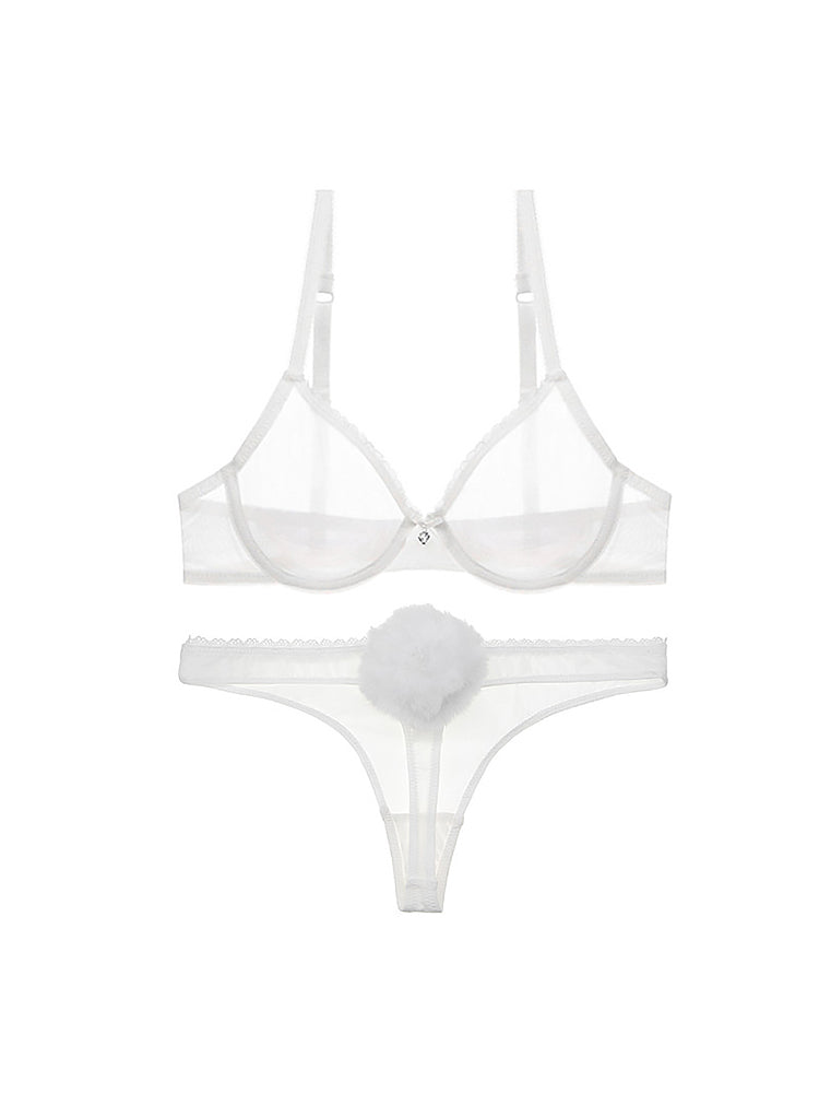 Women's Sexy Sheer Mesh Lingerie Bra and Thong Panty Set