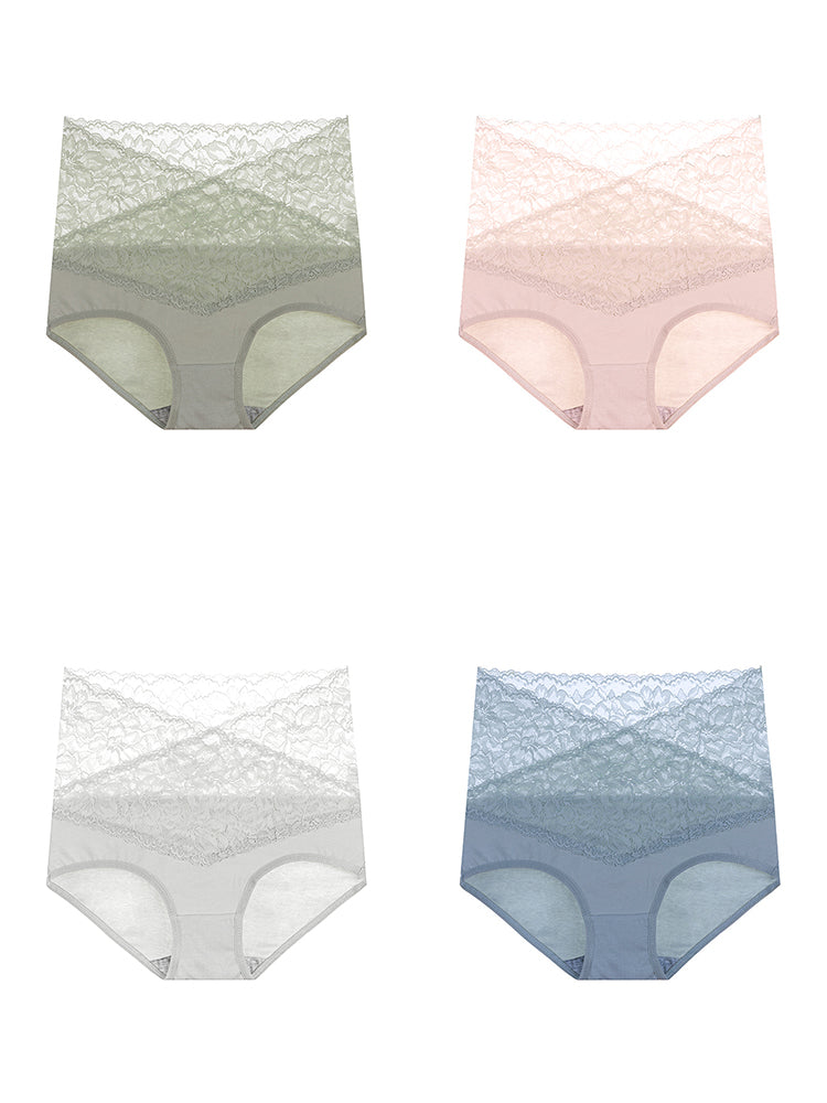 4-Pack Women Sexy Floral Lace High Waist Tummy Control Hipster Briefs